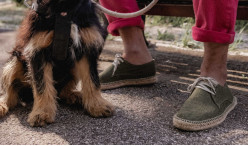 STRETS: The Perfect Companion for Your Summer